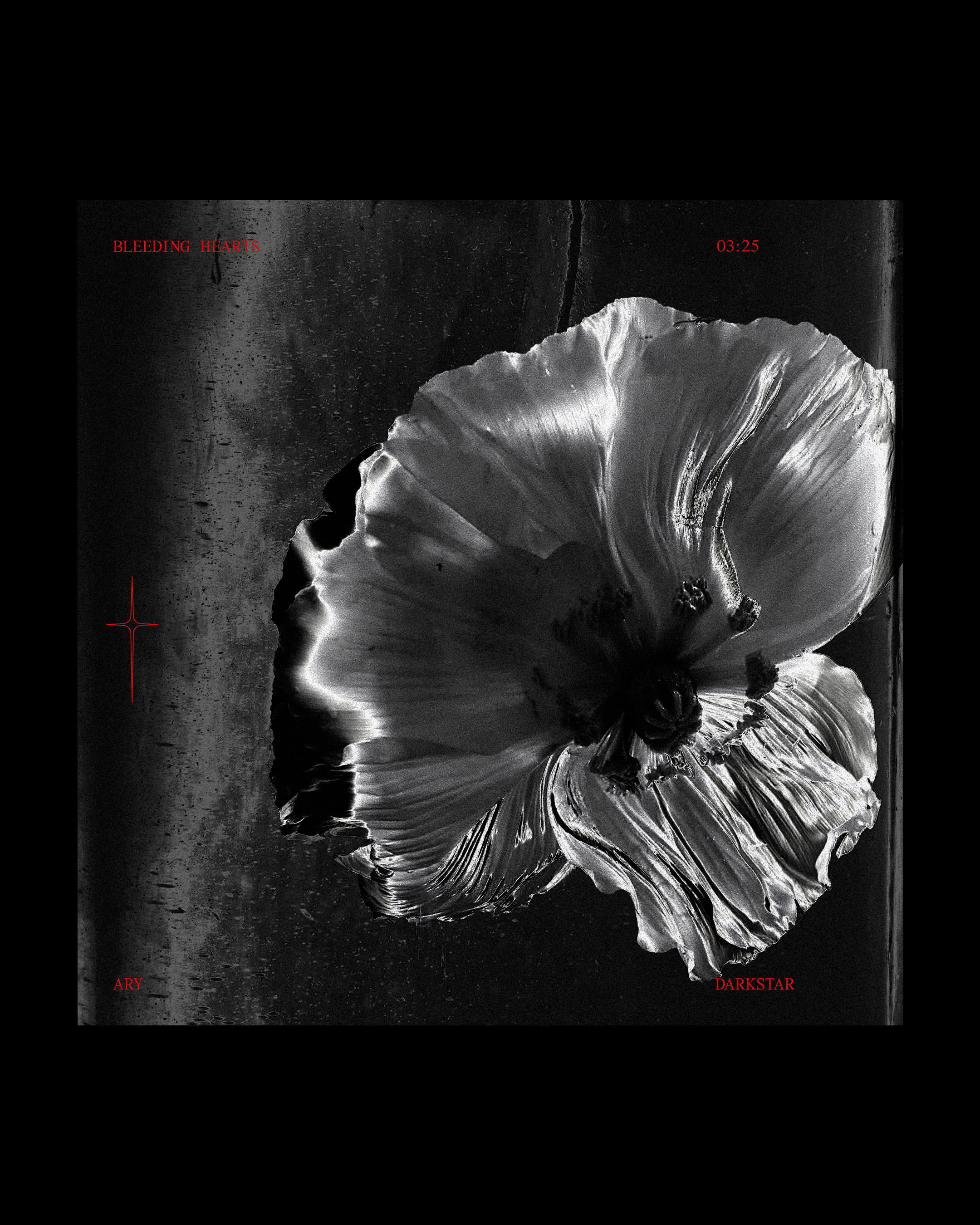 ARY Darkstar single artwork for Bleeding Hearts